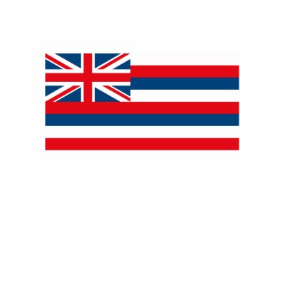 Hawaii Flag T-shirt by FlagTshirts