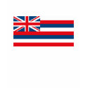 Hawaii Flag T-shirt