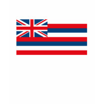 Hawaii Flag T-shirt by FlagTshirts Hawaii Flag T-shirt