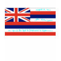 Hawaii Flag T-Shirt by deesbasenjis Hawaii Flag T-Shirt