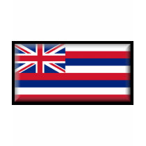 Hawaii Flag t-shirts by jacinto888 Hawaii Flag t-shirts