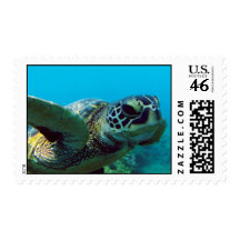 Hawaii Green Sea Turtle Stamps