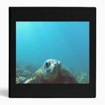 Hawaii Hanauma Bay Turtle Note Binder