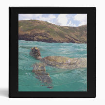 Hawaii Hanauma Bay Turtle Note Binder