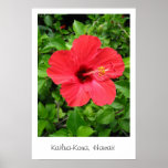Hawaii Hibiscus Poster