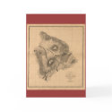 Hawaii Island, 1886, Vintage Hawaiian Map cards by ZephyrusBooks Hawaii Island, 1886, Vintage Hawaiian Map cards