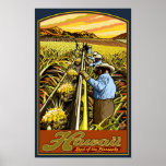 Hawaii Islands - Pineapple Harvest Travel Poster posters