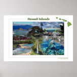 Hawaii Islands posters