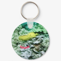 Hawaii keychain