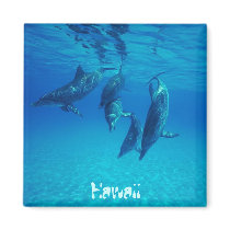 Hawaii magnets
