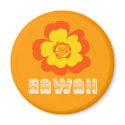 HAWAII Magnet