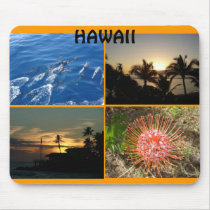 HAWAII mousepads