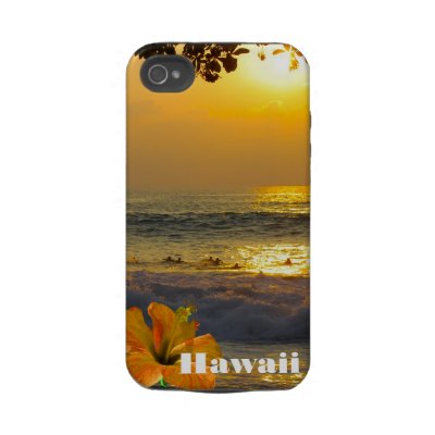Hawaii Ocean Sunset casemate cases