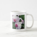 Hawaii-orchids Coffee Mugs