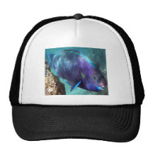 Hawaii Parrot Fish - Uhu Trucker Hat
