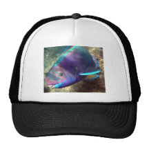 Hawaii Parrot Fish - Uhu Trucker Hat