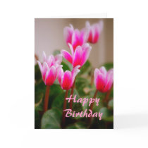 Hawaii Pink Cyclamen Flowers, Birthday Card