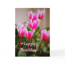Hawaii Pink Cyclamen Flowers, Birthday Greeting Cards