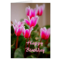 Hawaii Pink Cyclamen Flowers, Birthday Card