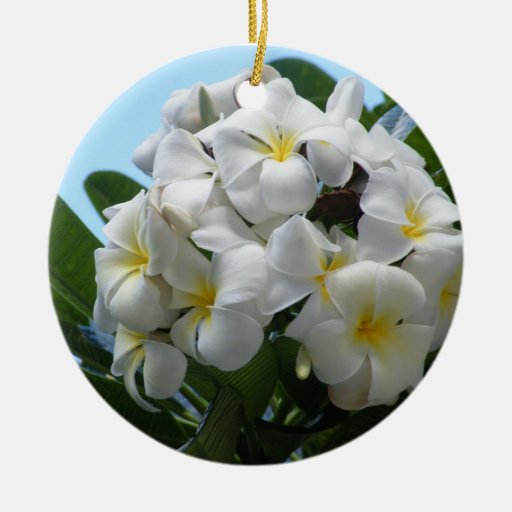hawaii plumeria double sided ceramic round christmas hawaii plumeria double sided ceramic round christmas