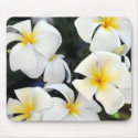 Hawaii Plumeria Flower Mousepad