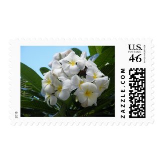 Hawaii Plumeria Stamps from lesruba designs