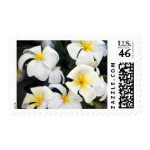 Hawaii Plumeria Flowers Postage