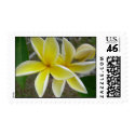 Hawaii plumerias postage by chelseacarothers Hawaii plumerias postage