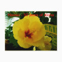 Hawaii postcards by Rebecca_Reeder Hawaii postcards