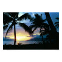 Hawaii posters