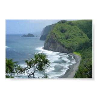Hawaiian Posters