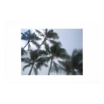Hawaii posters