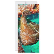 Hawaii rack cards by screamqueeninc Hawaii rack cards