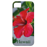 Hawaii Red Hibiscus casemate cases
