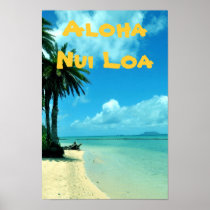 Hawaii Scenic Beach Poster