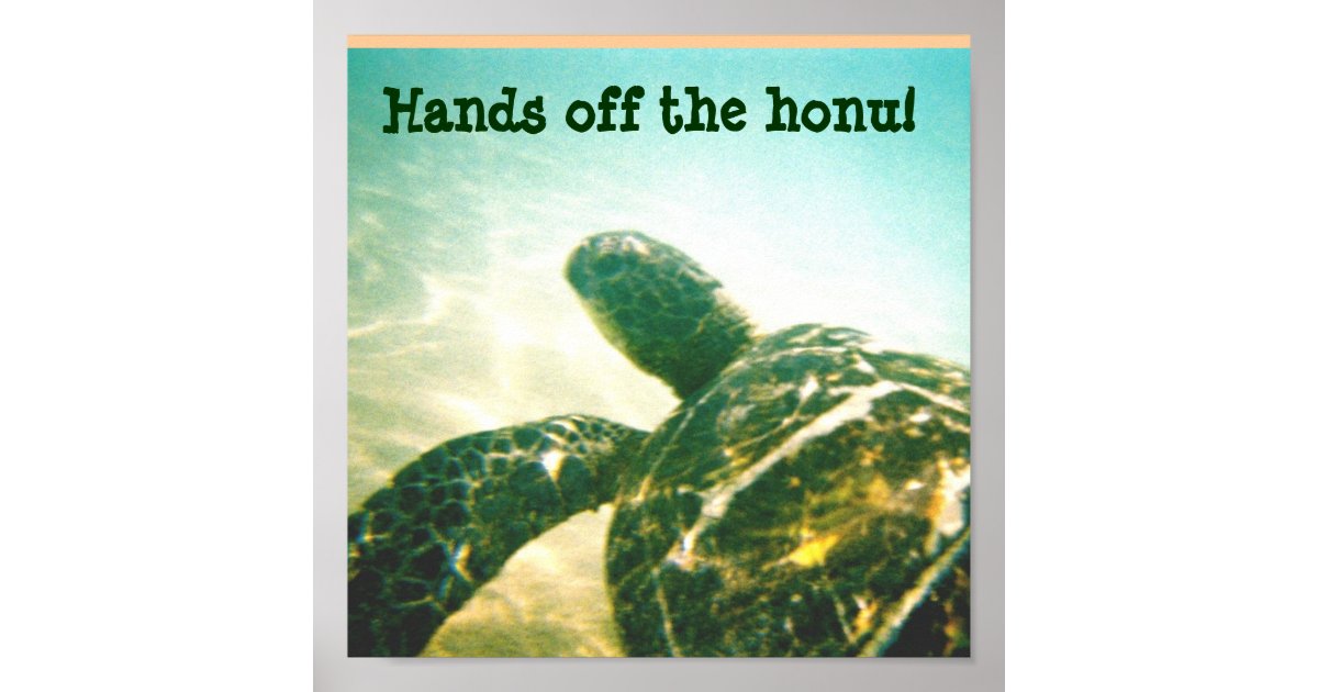 Hawaii Sea Turtle Protection Poster Zazzle