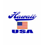 Hawaii Shirt