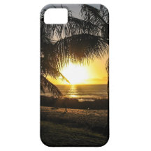 Hawaii Sunset Sharks Cove iPhone 5 Cases