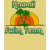 hawaii, swim, swimming, palm, sunset, sunrise,
