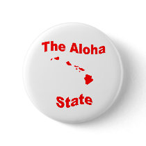 Hawaii: The Aloha State Pin