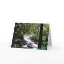 Hawaii the Big Island cards
