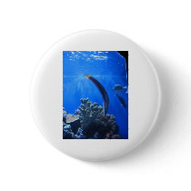 Hawaii Underwater buttons by radford79 Hawaii Underwater buttons