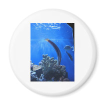 Hawaii Underwater magnets by radford79 Hawaii Underwater magnets
