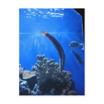 Hawaii Underwater postcards by radford79 Hawaii Underwater postcards