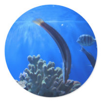 Hawaii Underwater stickers by radford79 Hawaii Underwater stickers