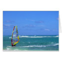 Hawaii Wind Surfer cards