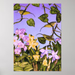 Hawaiian Akialoa with Orchids Posters