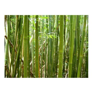 Hawaiian Bamboo print