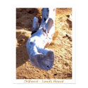 Hawaiian Beach Driftwood posters by Rebecca_Reeder Hawaiian Beach Driftwood posters