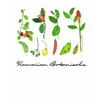 Hawaiian Botanicals II t-shirts by joeyartist Hawaiian Botanicals II t-shirts